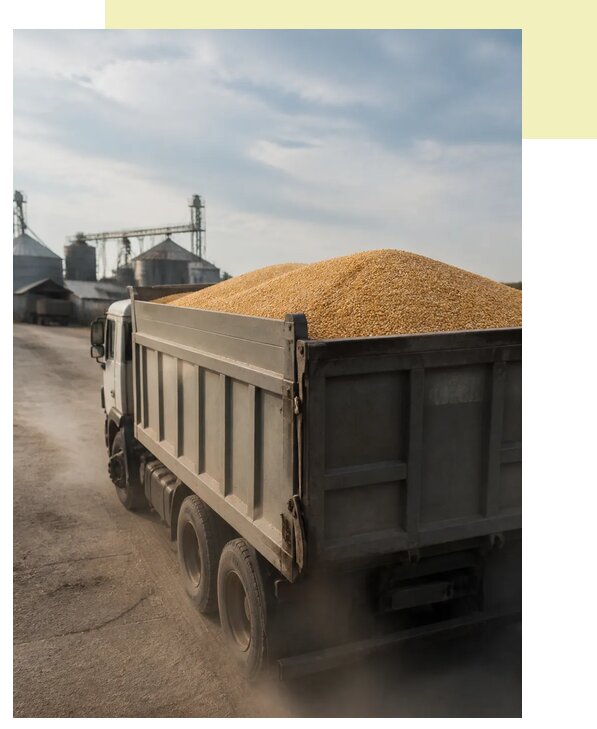 Перевозка сельхозпродукции навалом в Лангепас по цене от 3030 р. | Агросервис-Лнг