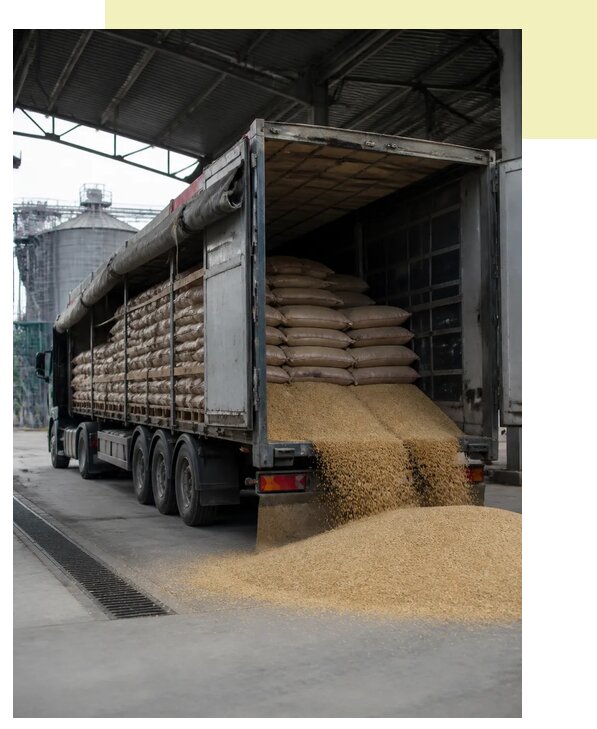 Перевозка гороха автотранспортом в Лангепас по цене от 5404 р. | Агросервис-Лнг