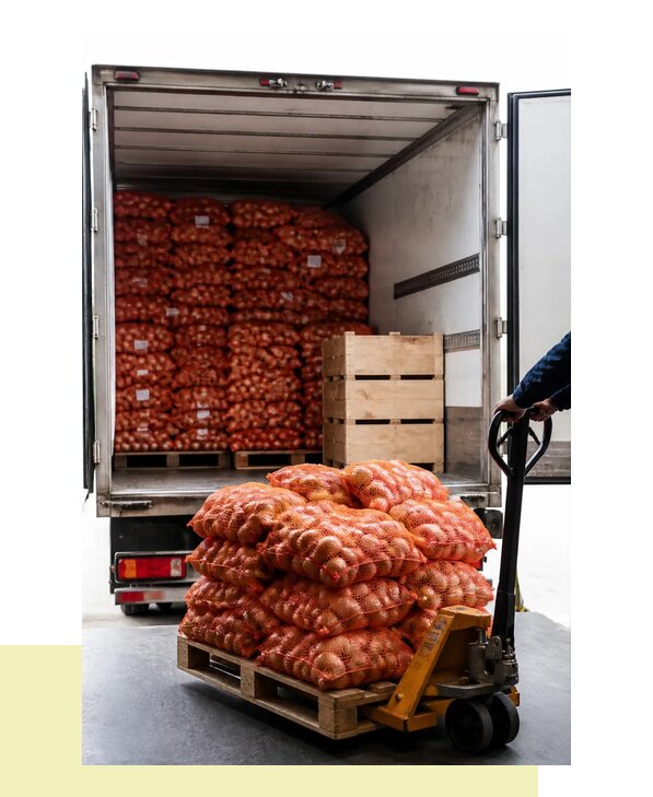 Перевозка репчатого лука оптом автотранспортом в Лангепас